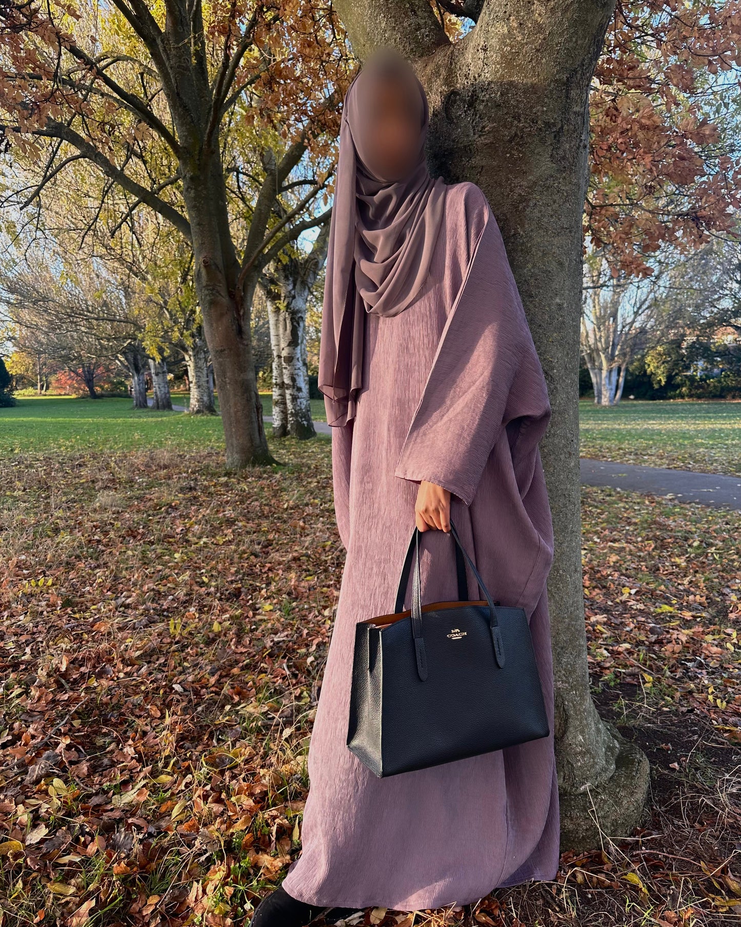 Sahara Mist Abaya