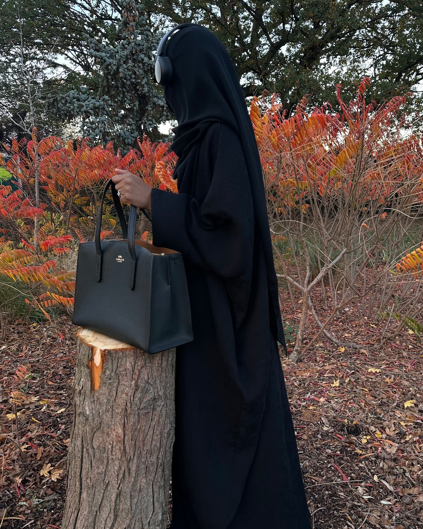 Luna Black Abaya